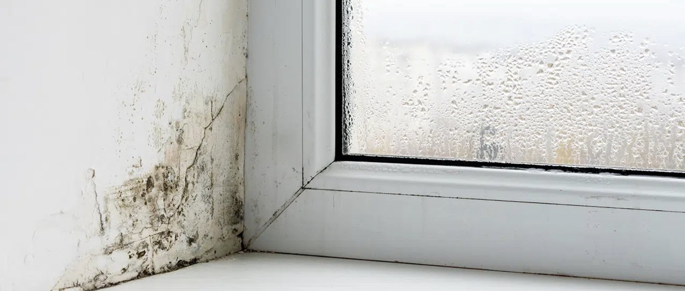 Fenster-Montage in der Altbau-Sanierung